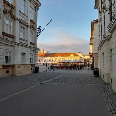 Piata Unirii- 1 דירה