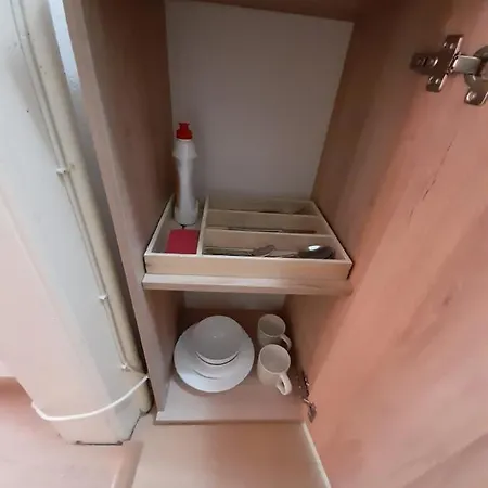 Apartament Piata Unirii- 1 *