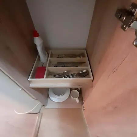 Piata Unirii- 1 아파트 티미쇼아라